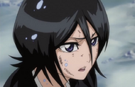 Rukia states she understands.