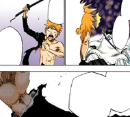 Ichigo explains how his Bankai includes his jacket, whose appearance reflects his Reiryoku reserves.