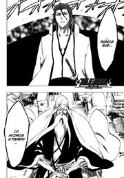Bleach 315(1)