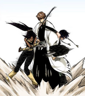 Yoruichi Shihōin and Suì-Fēng restrain Aizen.