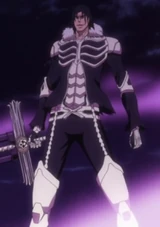 234px-Ep362KugosTransformation