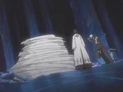 Isane intentando detener a Aizen