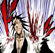 146Kenpachi is wounded
