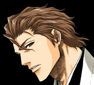 Aizen after revealing his true nature.