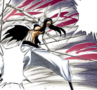 Nnoitra prepares to resume his battle against Kenpachi.