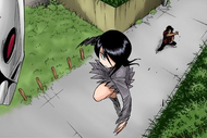 Sado flings Rukia at Shrieker using Sado Catapult.