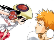 Ururu attacks Ichigo.