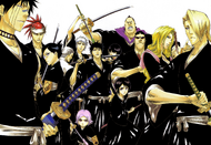 A color spread in All Colour But The Black, featuring the 13 lieutenants of the Gotei 13 during the Soul Society arc.