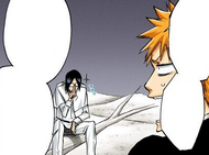 Ichigo is shocked by Uryū knowing the Reishi density of the area.