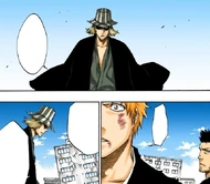 Urahara warns Ichigo and Isshin that Aizen will not fall to his Fūsatsu Kakei.