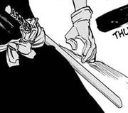 Kiyone 's Zanpakutou