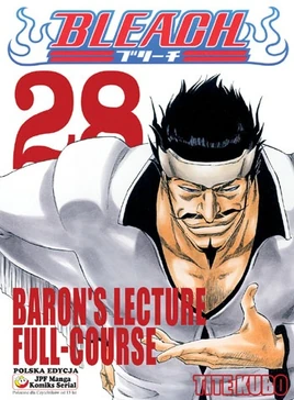 Bleach cover 28