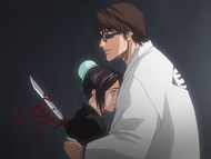 Aizen betrays and stabs Momo.