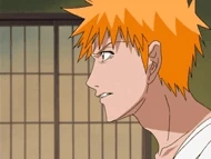 Urahara uses Shitonegaeshi on Ichigo.