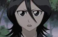 Rukia states Muramasa has exceeded his own limitations.