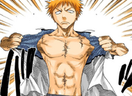 Ichigo reveals that his wounds have healed.