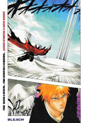 Bleach317