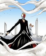 Ichigo protects Orihime and Nel from the Gran Rey Cero.