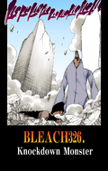 Poww and Ikkaku on the cover of Chapter 326.