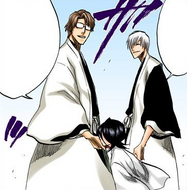 Aizen returns to Rukia after defeating Komamura.