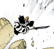 Ichigo falls off the palace.