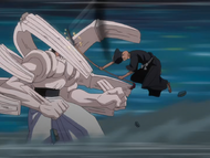 Aldegor fiercely battles Ikkaku.