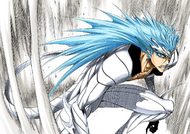 281Grimmjow's Resurreccion, Pantera