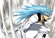 Grimmjow's Resurrección, Pantera.