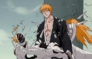 Ichigo's Hollow form breaks apart around him.