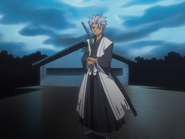 Hitsugaya confronts Izuru and Gin.