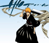 Ichigo prepares to show Grimmjow how much stronger he has become.