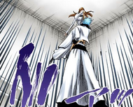 273Grimmjow lifts