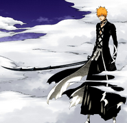 Ichigo's new Bankai.