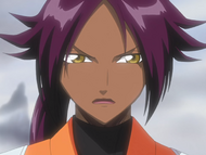 Yoruichi reveals that a Bount has appeared.