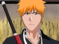 Ichigo seventeen months later after regaining his powers.