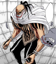 Grand Fisher Bleach Wiki Fandom Grand Fisher Bleach Wiki Fandom