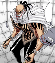 25Grand Fisher's Arrancar form