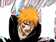 Ichigo declares that he has come to defeat Grimmjow.