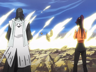 Byakuya watches the final fight between Ichigo and Kariya with Yoruichi.