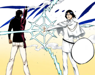 Sado and Uryū prepare to resume the battle after switching opponents.