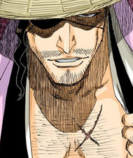 Shunsui Kyōraku, Bleach Wiki