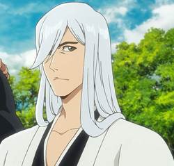 Bleach Episódio 9, Kyoraku o novo capitão geral, Guerra dos Mil Anos