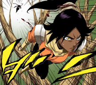 Suì-Fēng pursues Yoruichi through the treetops.