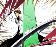 Aizen's shield protects him from Shunsui's blade.