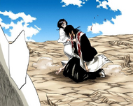 Byakuya collapses after protecting Rukia.