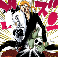 Nel hits Ichigo in the crotch.