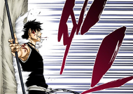 Hisagi pushed back by his Sternritter opponent.