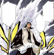 Byakuya prepares to attack Ichigo with Senbonzakura Kageyoshi.