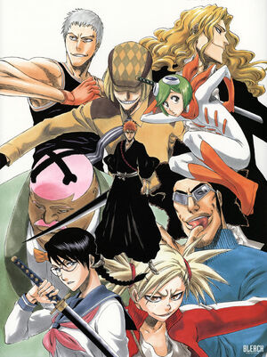 Vizards Bleach Wiki Fandom
