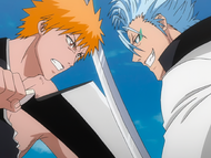 Ichigo and Grimmjow begin their final battle.